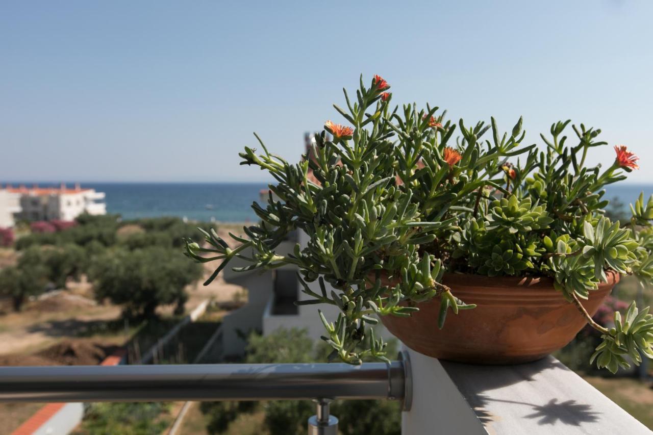 The House Of The Roses Apartment Gerakini Bagian luar foto